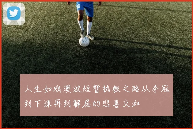 人生如戏澳波短暂执教之路从夺冠到下课再到解雇的悲喜交加