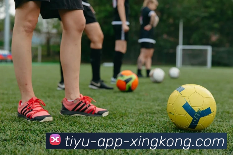 App 展示图